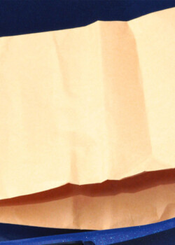 Wirbel Mikros papirnata vrećica